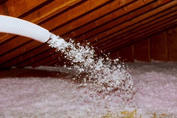 Best Residential Insulation in Southeast Arcadia, FL